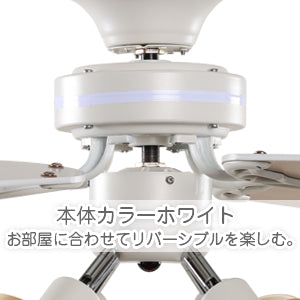 送料無料(日本国内発送) シーリングファンライト 照明 リバーシブル リモコン式 LED対応E26 省エネ 風量調節 天井照明 天井ファン 冷暖房効果 日本語説明書付き ホワイトナチュラル