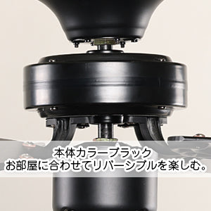 送料無料(日本国内発送) シーリングファンライト 照明 リバーシブル リモコン式 LED対応E26 省エネ 風量調節 天井照明 天井ファン 冷暖房効果 日本語説明書付き ホワイトナチュラル