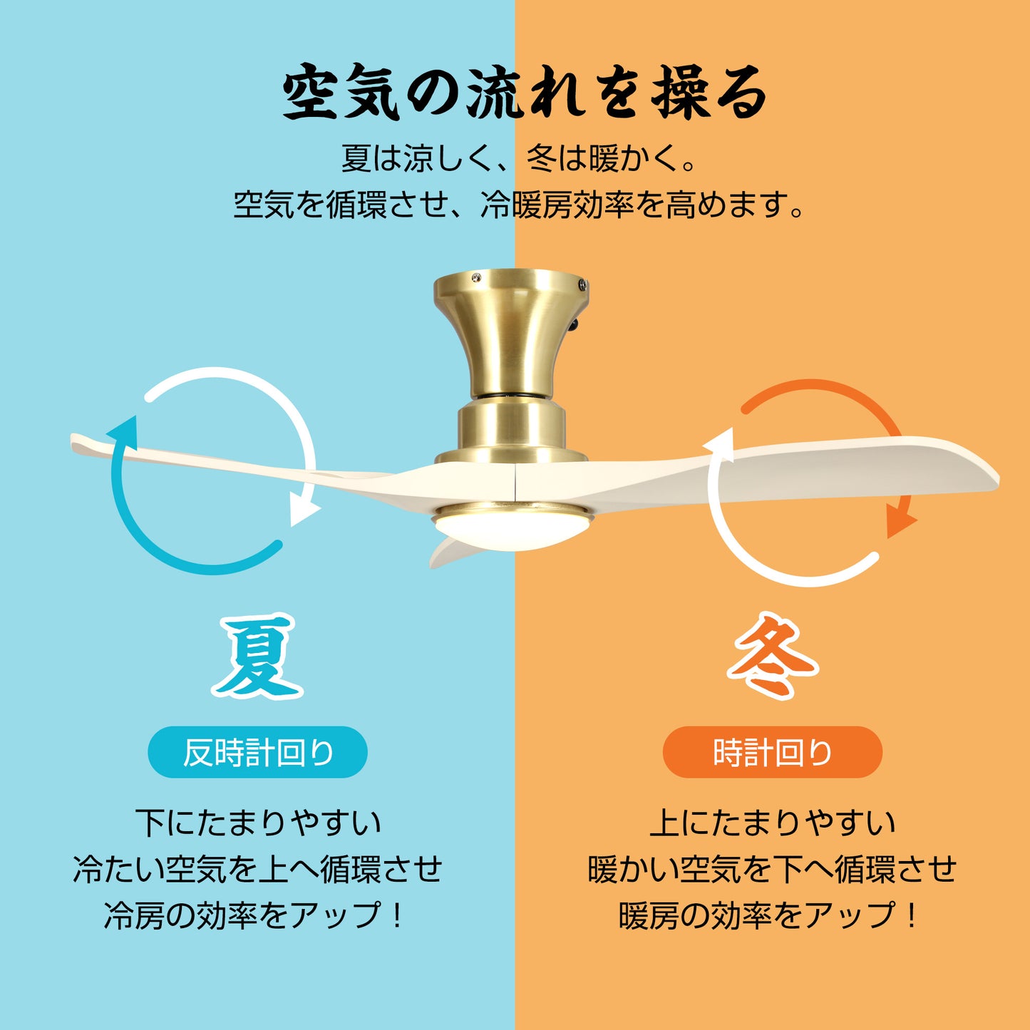 Parrot Uncle シーリングファンライト 照明器具 ファン 天井照明 シーリングライト リモコン付き インテリア 電気 LEDチップ内蔵 4ブレードスタイル DCモータ 調光・調色 おしゃれ (ブラック)