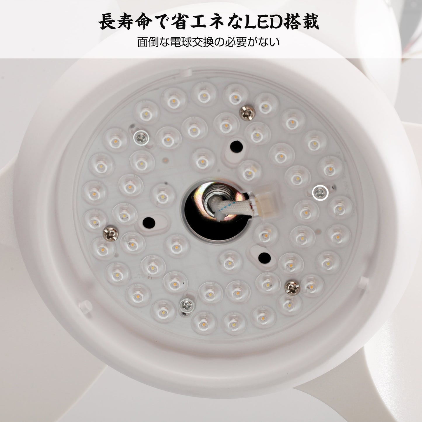 Parrot Uncle シーリングファンライト 照明 ファン 小型3枚羽根 LEDチップ内蔵 3ブレードスタイル DCモーター 天井照明 照明器具 省エネ 3羽根 吹き抜け リモコン付き 調光・調色 おしゃれ (ゴールド)