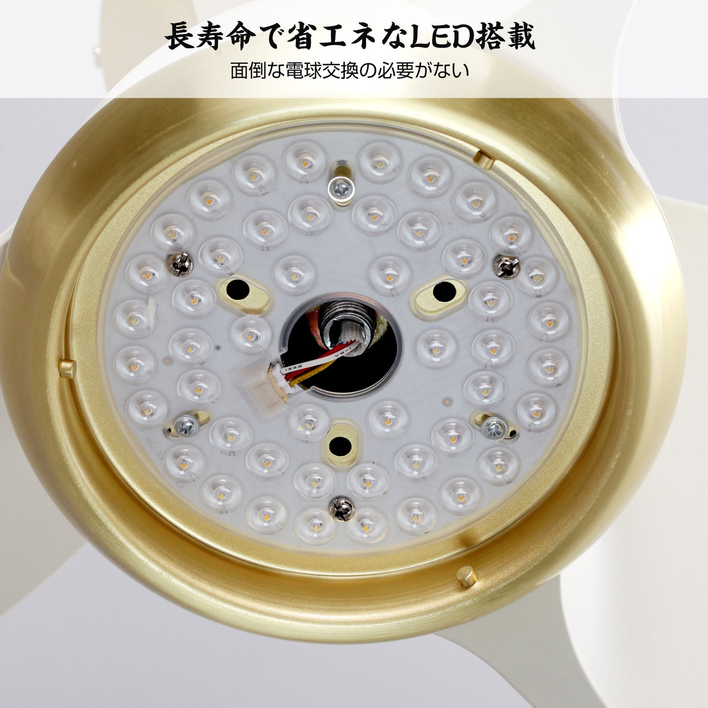 Parrot Uncle シーリングファンライト 照明 ファン 小型3枚羽根 LEDチップ内蔵 3ブレードスタイル DCモーター 天井照明 照明器具 省エネ 3羽根 吹き抜け リモコン付き 調光・調色 おしゃれ (ゴールド)