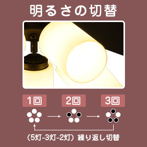 送料無料　シーリングファンライト 5灯タイプ 照明 リバーシブル リモコン式 LED対応 インテリア照明　ブラック【日本国内発送 即日出荷】