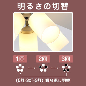 送料無料　シーリングファンライト 5灯タイプ 照明 リバーシブル リモコン式 LED対応 インテリア照明　ブラック【日本国内発送 即日出荷】