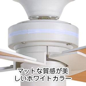 送料無料　シーリングファンライト 5灯タイプ 照明 リバーシブル リモコン式 LED対応 インテリア照明　ブラック【日本国内発送 即日出荷】